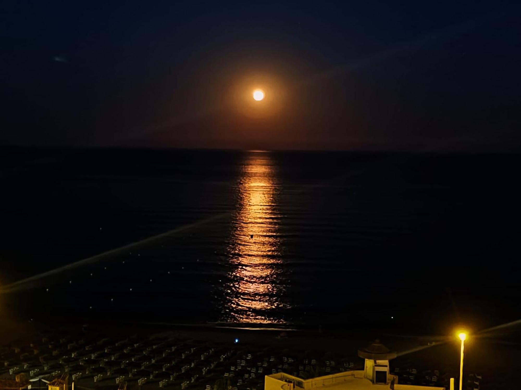 Carvajal Beach Seaview Apartment 贝纳尔马德纳 外观 照片